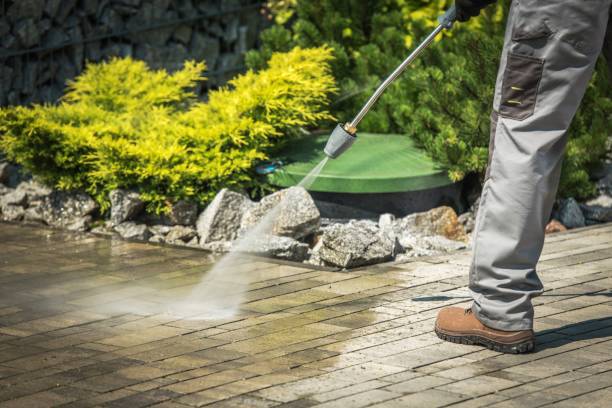 Best Sidewalk and Walkway Cleaning  in Rusk, TX